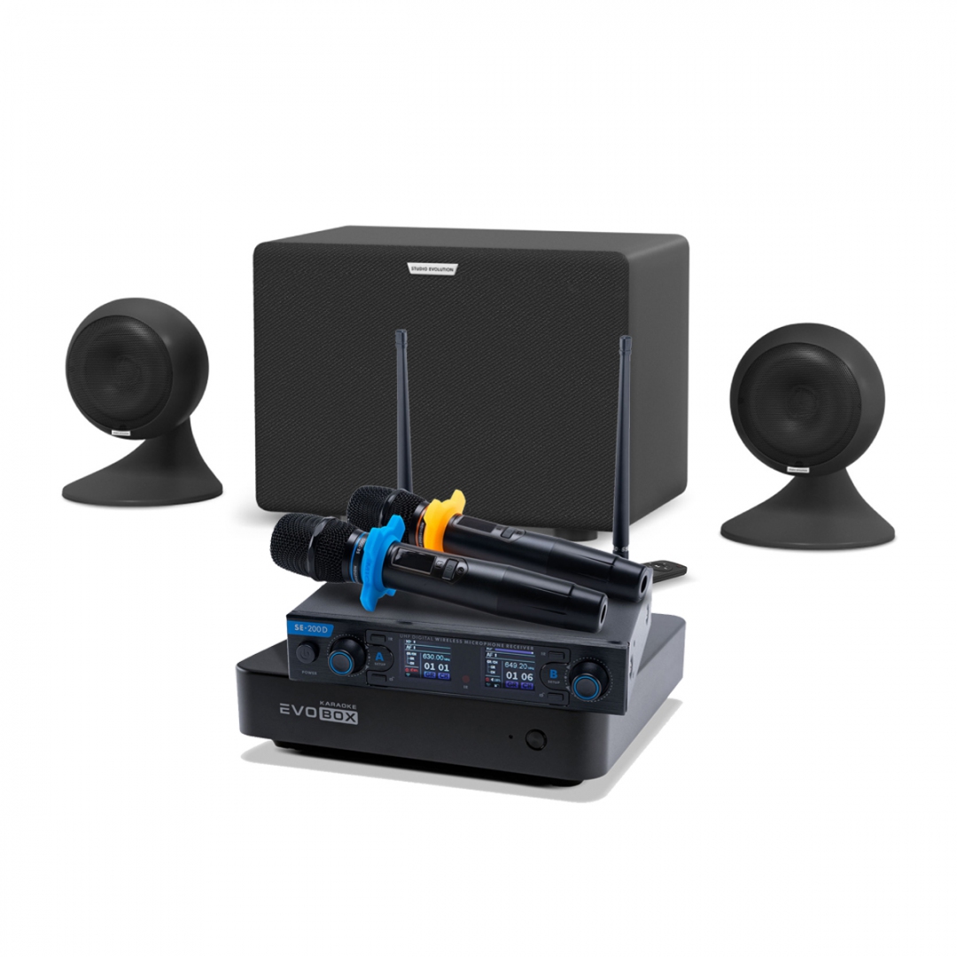 караоке-комплект EVOBOX + EvoSound Sphere 2.1 в Хотьково