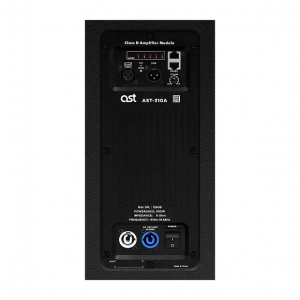 Активная акустическая система AST-310A в Хотьково