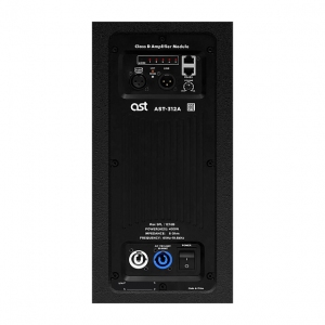 Активная акустическая система AST-312A в Хотьково